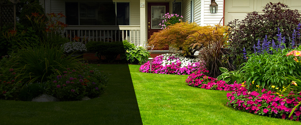 Pleasant Hill Landscapers