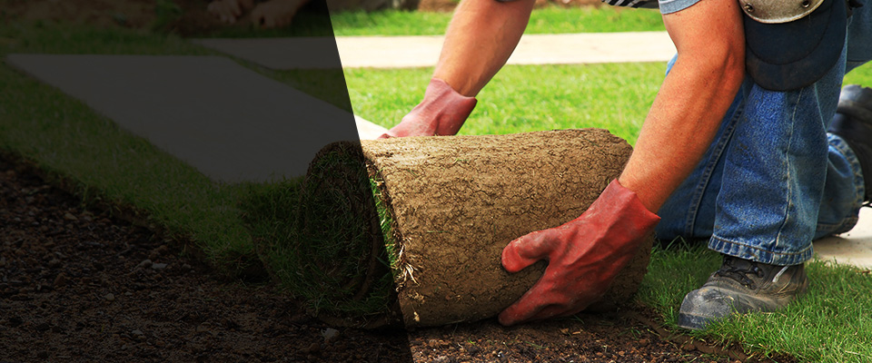 Pleasant Hill Landscapers